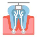 Endodontic & Operative Endodontic